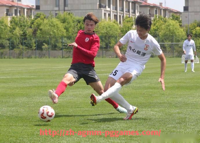 pg电子在线下载-法甲赛事的未来展望：联赛发展趋势与未来潜力