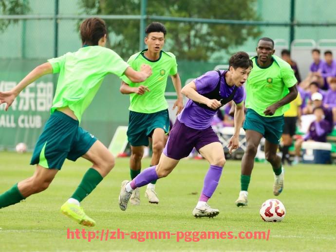 pg电子在线下载-法甲赛季回顾:关键比赛与球员表现综合分析