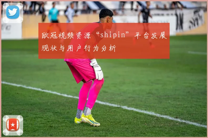 欧冠视频资源“shipin”平台发展现状与用户行为分析