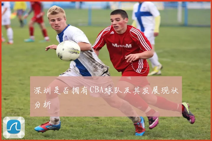 深圳是否拥有CBA球队及其发展现状分析